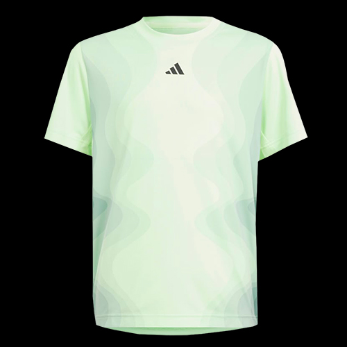 image de Tee-shirt adidas pro junior vert