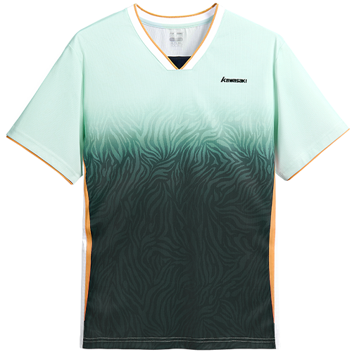 image de Tee-shirt Kawasaki K1C02-C1005 men vert